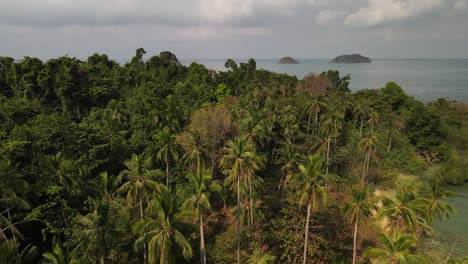 Aerial-flyover-palm-tree-and-rain-forest-island-with-ocean-and-islands