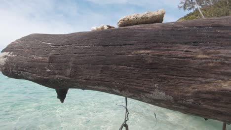 Dead-timber-fallen-on-water's-edge,-washed-by-the-turquoise-Koh-Hey-Sea,-Thailand---Wide-push-in-gimbal-shot