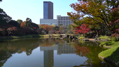 Revelación-De-Los-Jardines-Koishikawa-Korakuen-En-Tokio,-Japón,-Durante-La-Temporada-De-Colores-Otoñales