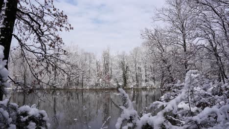 Beautiful-snowy-landscape-with-leafless-trees-surrounding-cold-water-of-lake