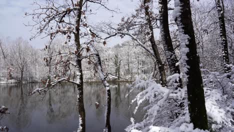 Trockene-Büsche-Und-Bäume,-Die-Im-Winter-Mit-Weißem-Schnee-Rund-Um-Den-See-Bedeckt-Sind