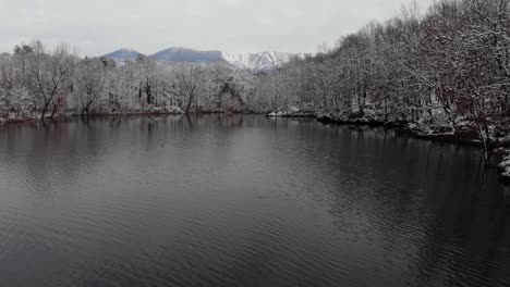Cold-water-surface-of-lake-reflecting-trees-covered-in-white-snow,-winter-day