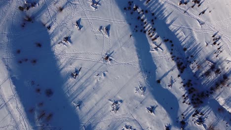 Top-down-drone-view-of-snow-footprint-tracks-in-rural-forest