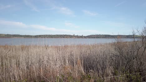Medina-Lake-or-Lagoon-in-reed-landscape-in-Jerez-de-la-Frontera,-Spain,-Pan-Left