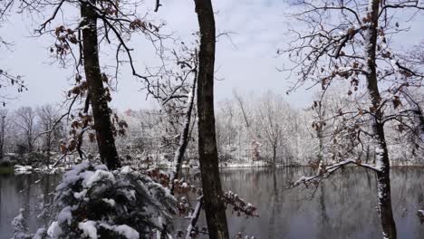Forest-trees-covered-in-white-snow-and-calm-lake-in-cold-winter-day