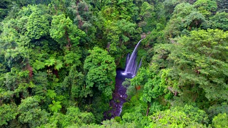 Luftbild-Des-Tiu-Kelep-Wasserfalls-In-Lombok,-Asien---Tracking,-Drohnenaufnahme