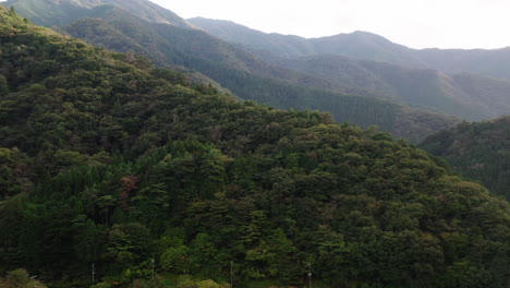Scenery-Of-Densely-Woodland-And-Vegetation-On-Mountain-Ranges-Near-Countryside-Of-Okutama,-Japan