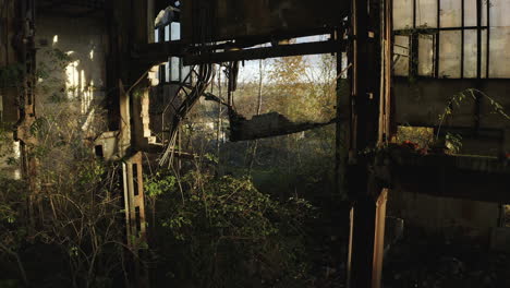 Nature-is-taking-back-old-abandoned-industrial-collapsing-factory