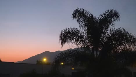 Colourful-sunset-with-dark-blue-sky-disolving-in-red-over-La-Molina-in-Lima,-Peru-with-palm-tree-shadow-and-mountains