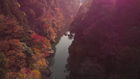 Slow-motion-drone-tilt-up-over-beautiful-sun-flooded-ravine-with-fall-colors