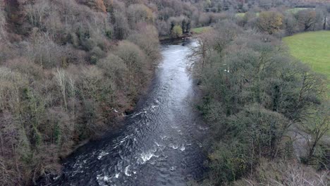 Fast-flowing-Autumn-woodland-curving-countryside-river-aerial-view-dolly-right