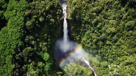 Downward-aerial-of-rainbow-by-water-and-forest-at-Akaka-Falls,-Hawaii