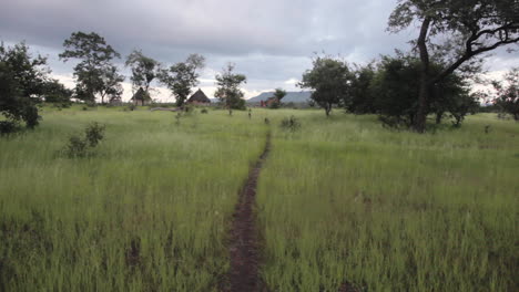 Tranquilo-Paisaje-Rural-Terreno-Verde-áfrica-Senegal