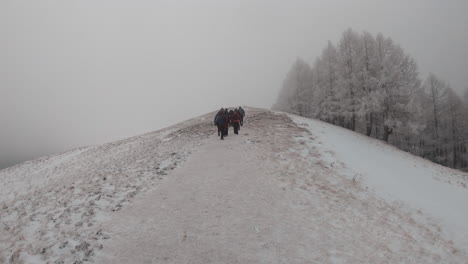 Eine-Gruppe-Von-Menschen,-Die-Einen-Verschneiten-Winterberg-Wandern