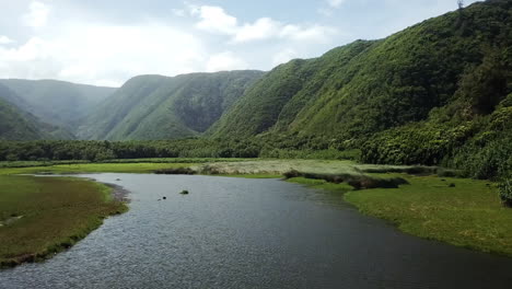 Luftaufnahme-Des-Wasserstroms,-Der-Durch-Das-Pololu-Tal-In-Hawaii-Fließt