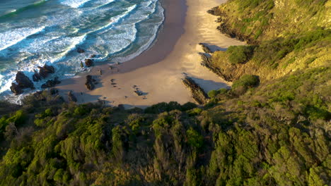 Amazing-drone-shot-staring-on-forest-then-revealing-Broken-Head-beach-near-Byron-Bay