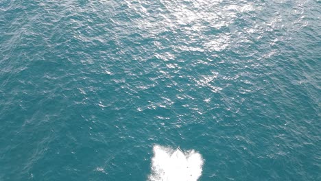 Luftaufnahmen-Von-Booten,-Die-An-Der-Küste-In-Der-Nähe-Von-Barcelona-Segeln