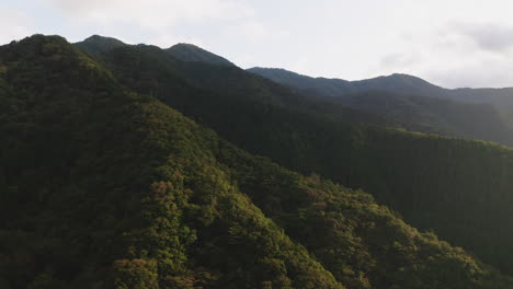 Drone-Flying-Towards-Lush-Green-Mountains-In-Okutama,-Japan---aerial-drone-shot