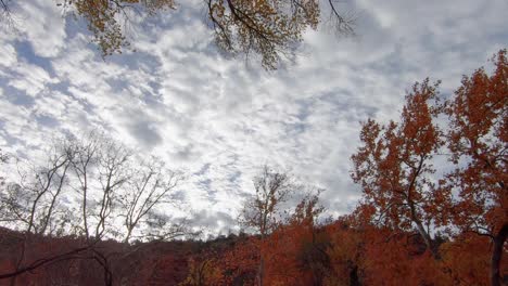 Ein-Frischer-Wind-Bläst-Die-Wolken-Entlang-Und-Schüttelt-Die-äste-Der-Bäume-Und-Ihr-Buntes-Herbstlaub,-Sedona,-Arizona