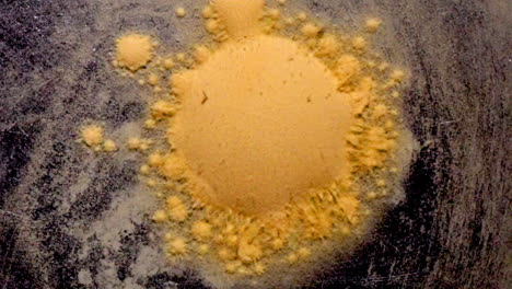 Zellähnliche-Kügelchen-Von-Lycopodium-Sporen-Verschmelzen-Zu-Einer-Einzigen-Masse,-Die-Einem-Sanddollar-ähnelt