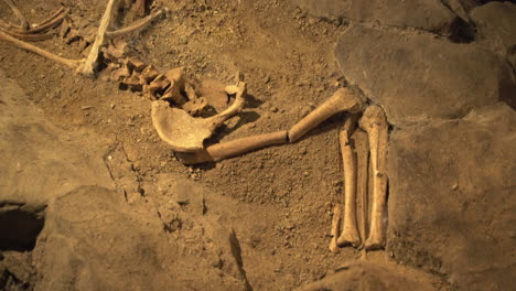 Echte-Menschliche-Knochen--Und-Schädelarchäologie-Entdeckung-In-Der-Höhle,-Schwenkaufnahme