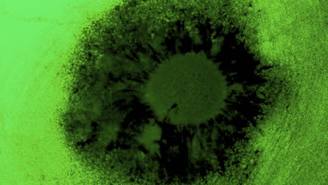 Glóbulos-De-Esporas-De-Lycopodium,-Que-Se-Asemejan-A-Células-Vegetales,-Evolucionan-E-Irradian-Energía-Cimática