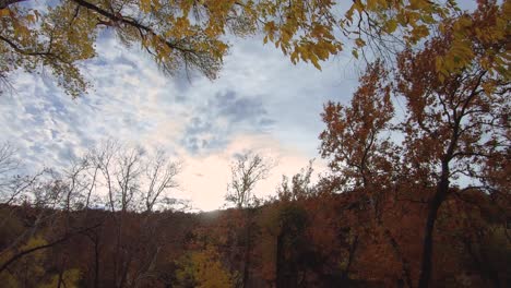 Time-Lapse-wind-blowing-through-the-colorful-fall-foliage,-late-afternoon