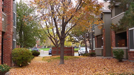 Red-and-Orange-Leaves-Falling-Out-of-a-Tree-in-the-Wind-and-Covering-the-Ground-During-the-Autumn-Season-Between-Apartment-Buildings-next-to-a-Parking-Lot-on-a-Clouldy-Day