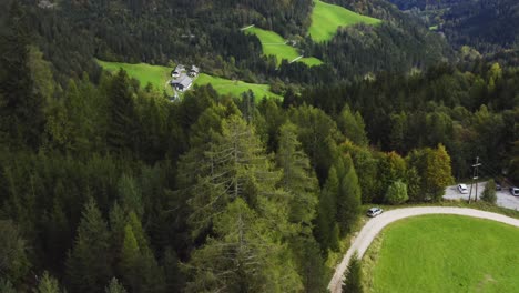 Pristine-green-forest,-Schaidasattel,-Austria