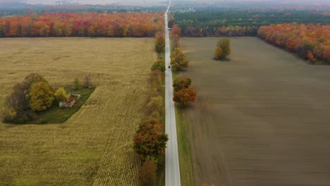 Aerial-View-Car-Driving-on-Long-Straight-Road-in-Fall