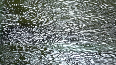 Regen,-Der-Auf-Einen-Teich-Trifft,-Erzeugt-Konzentrische-Wellen-Auf-Der-Wasseroberfläche