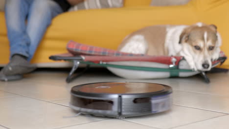 Reinigungsroboter-Erledigt-Die-Hausarbeit,-Während-Ein-Mensch-Und-Sein-Braun-weißer-Hund-Ihre-Freizeit-Genießen