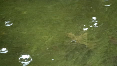 Rain-drops-splash-onto-a-pond-as-bubbles-float-downstream