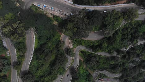 Aerial-top-down-shot-of-endless-vast-forest-with-trees-growing-on-the-hairpin-bends-Yercaud,-India