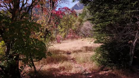 Pasando-Por-árboles-De-Otoño-En-Utah-Cerca-De-La-Soledad