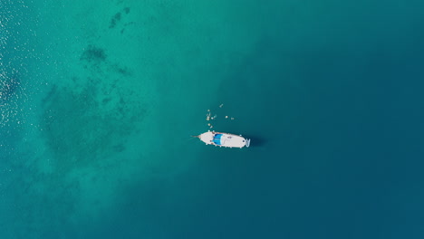 People-swimming-beside-sailboat-moored-in-tropical-sea,-aerial-top-down-view