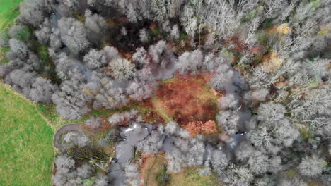 Top-aerial-view-of-grey-burned-tree-woods,-daytime,-drone-flying-sideways