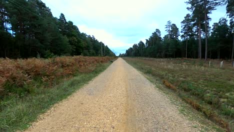 Reveal-of-a-long-gravel-road-into-the-woods