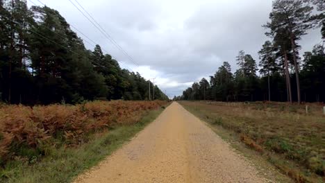 A-pan-of-a-gravel-road-in-the-woods