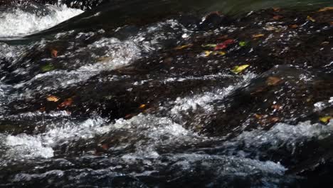 Jungle-River-Water-running-through-shallow-passage-with-rocks-creating-white-water-and-bubbles