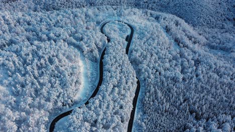 Impresionantes-Imágenes-De-Drones-De-Un-Paso-De-Montaña-En-Un-Bosque-Cubierto-De-Nieve