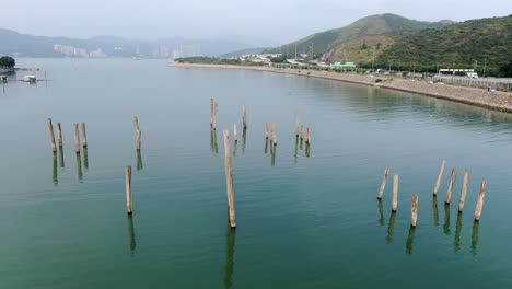 Hong-Kong-Versteckte-Bucht-Auf-Der-Insel-Lantau-Mit-Alten-Baumstämmen,-Die-Aus-Dem-Wasser-Ragen,-Luftbild