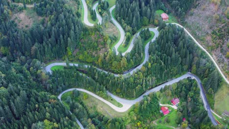 Winding-Road-Along-Green-Dense-Forest,-Eisenkappel-Vellach,-Austria