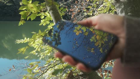 Phone-Reflection-In-Forest---Green-Leaves-On-Trees-Reflecting-On-A-Screen-Of-Mobile-Phone-Held-By-A-Woman-With-River-In-Background