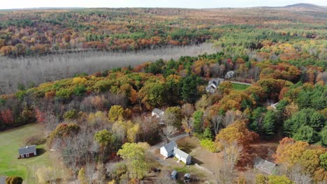 Drone-pan-down-to-bright-autumn-colors-in-a-wooded-neighborhood-with-houses-dotting-each-side-of-the-road-that-winds-through-the-area