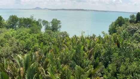 Scenic-View-From-Jejawi-Tower-With-Dense-Forest-In-Pulau-Ubin---Looking-At-Calm-Blue-Waters-Of-Johor-Strait-With-Singapore-Mainland