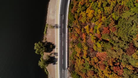 Top-down-aerial-drone-over-road-next-to-lake-with-beautiful-fall-foliage