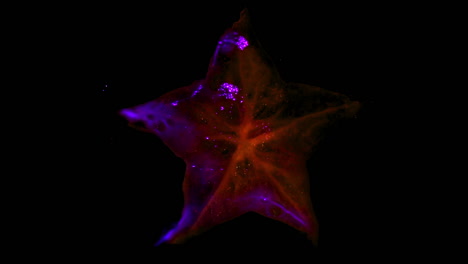Kirlian-photography-of-a-cross-section-of-star-fruit