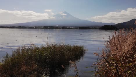 Tiro-Lento-Que-Se-Eleva-Sobre-La-Hermosa-Vegetación-Junto-Al-Lago-Y-El-Monte-Fuji-En-Segundo-Plano