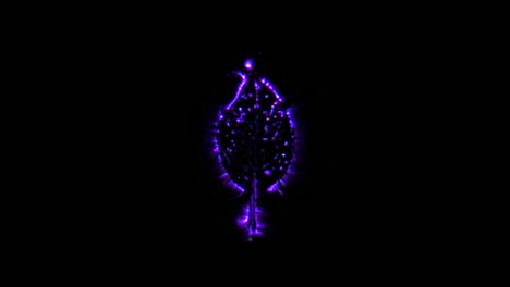 Kirlian-photography-of-Poinsettia-leaf